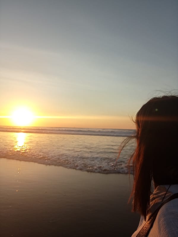 Beach sunset captured from multiple angles by witnesses