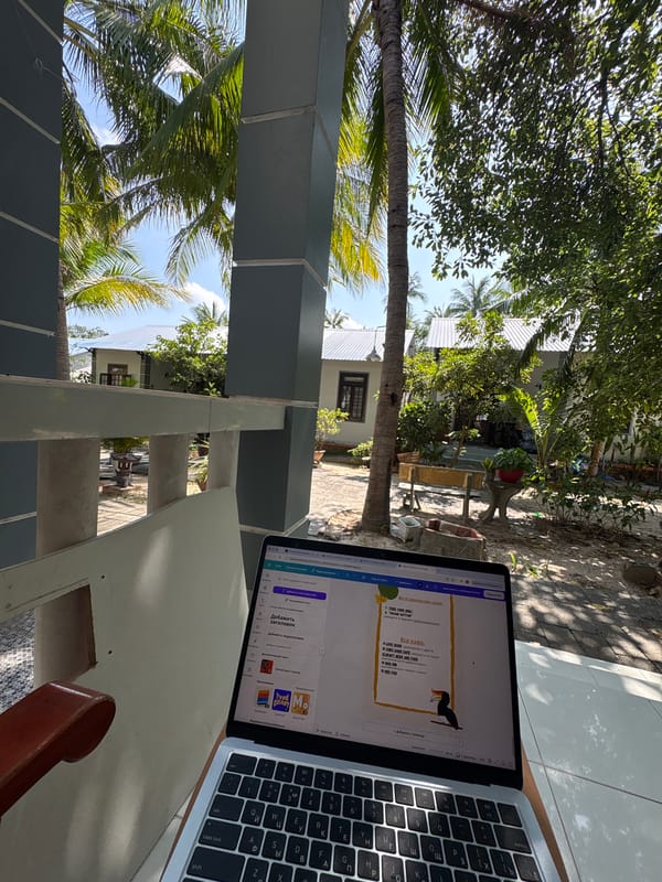 Lazy morning in Mũi Né: work, selfies, and a Sphynx cat