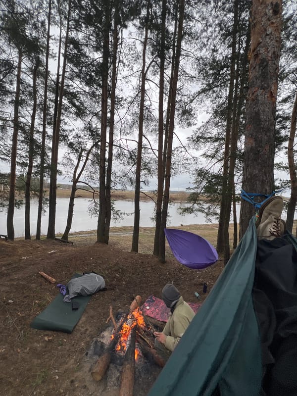 Forest camping scene observed near Красная Дубрава, Russia