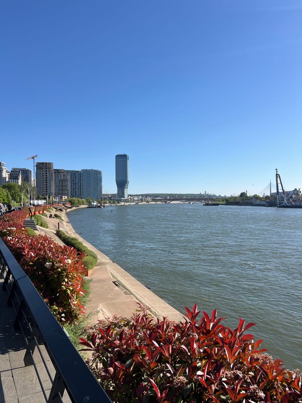 Riverside observations captured along Belgrade's Sava River promenade