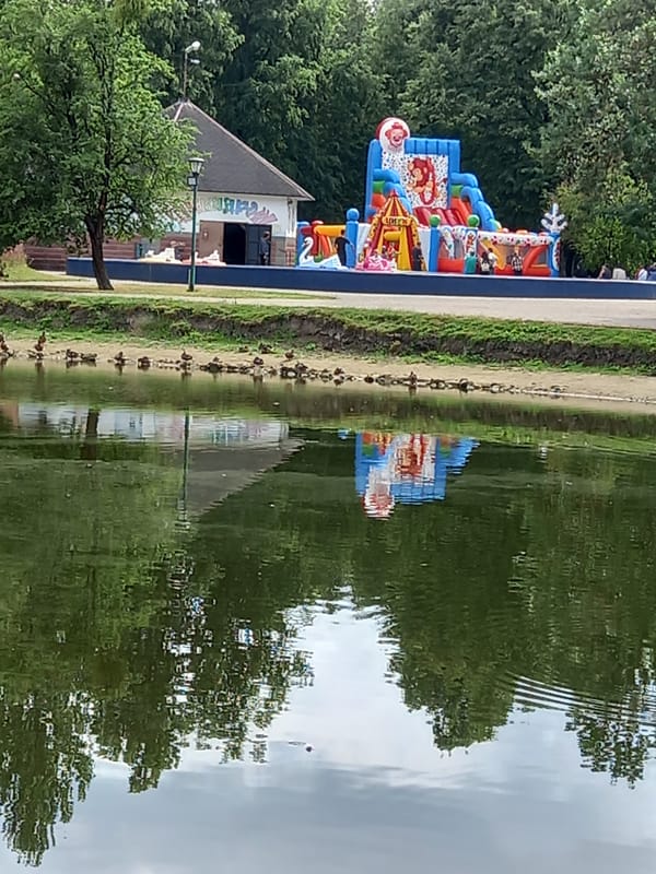 Afternoon in Brest: canal wildlife, pigeons, and city landmarks