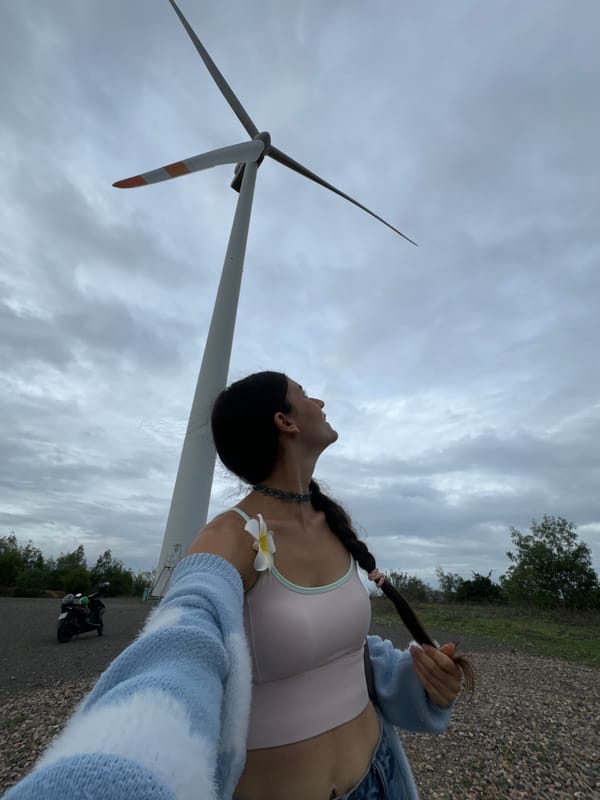 Tourists visit Mui Ne wind farm for photos, selfies