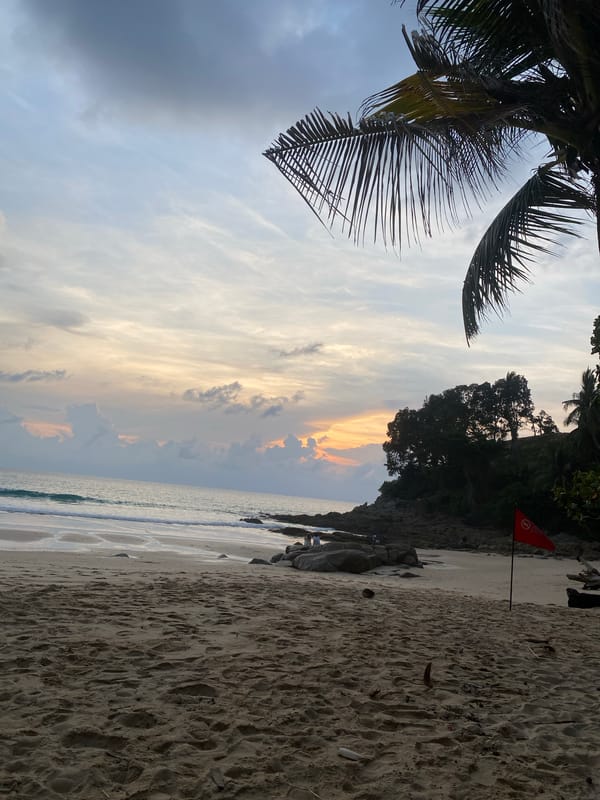 Sunset on a palm-lined beach in Choeng Thale