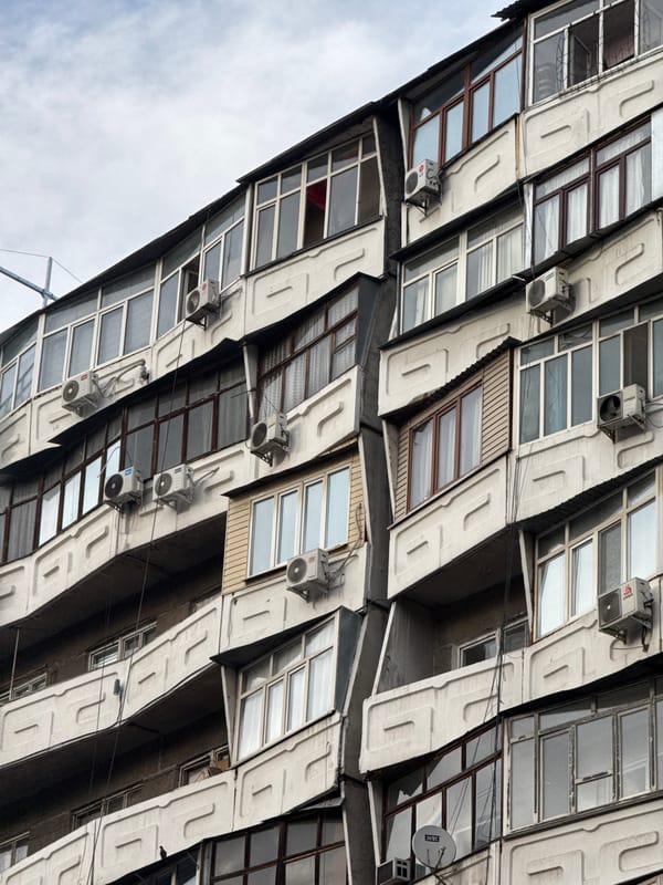Mountain city streets, dense apartment blocks, and a cannabis plant