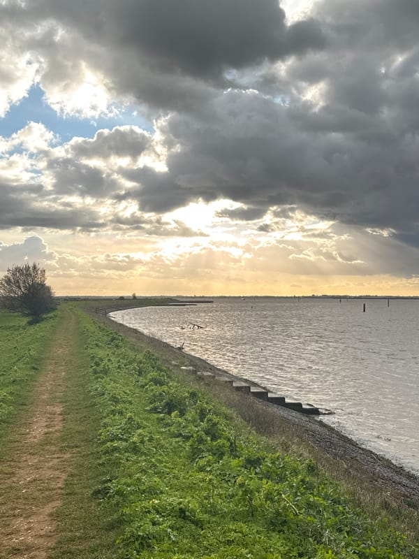 Dramatic weather and spring daffodils captured at Great Yarmouth estuary