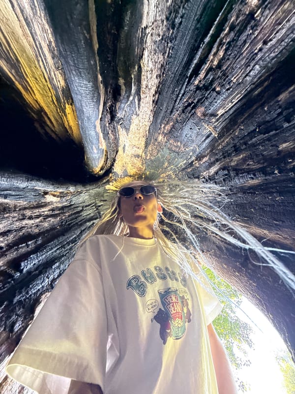 Posing in and around a giant hollow burnt tree