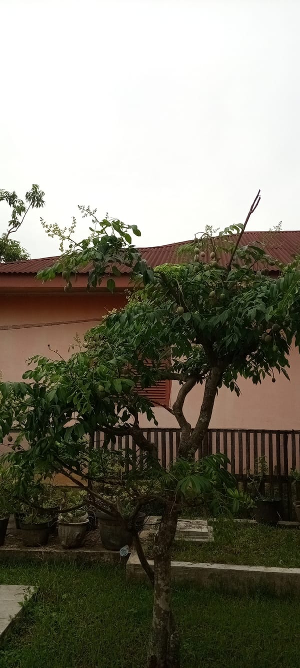Witness Documents Lhokseumawe Neighborhood Scenes Over Hour-Long Walk