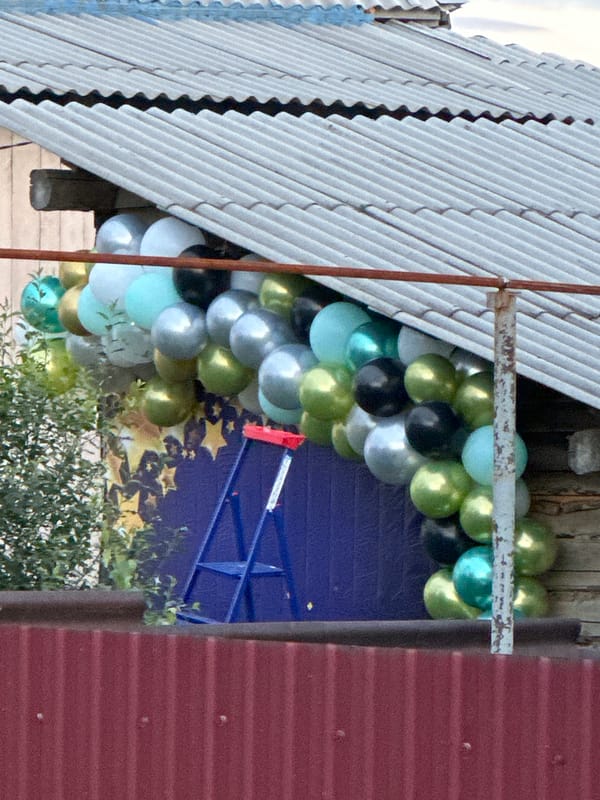 Motorcycle, balloon decor, and petunia close-ups from one afternoon