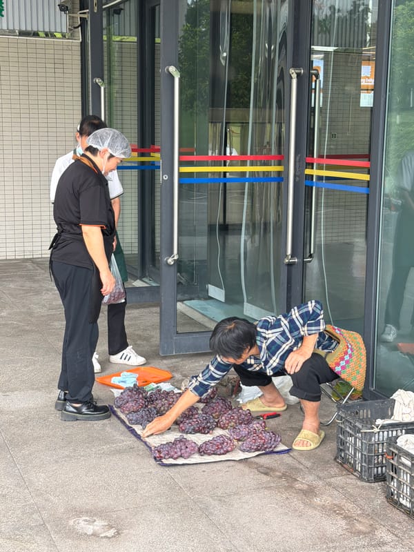 Black swans and daily life around a Jiangjin park