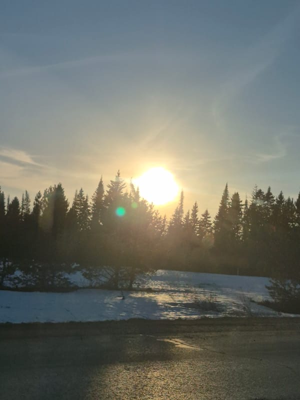 Sunset behind trees observed in snowy Nechkino, Russia