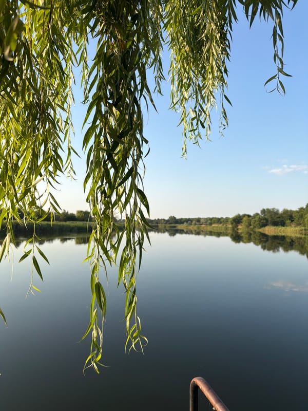 Summer afternoon swimming and riverside time in Lozuvatka