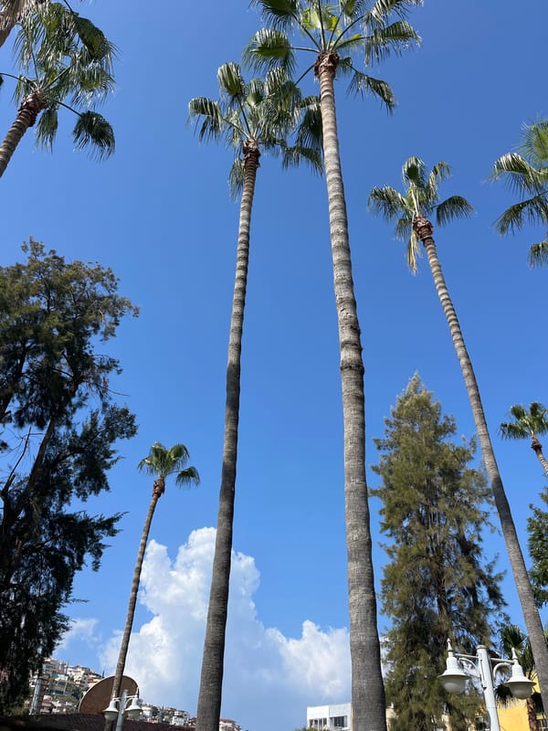 Tourist morning in Alanya: simit breakfast, harbor views, sightseeing