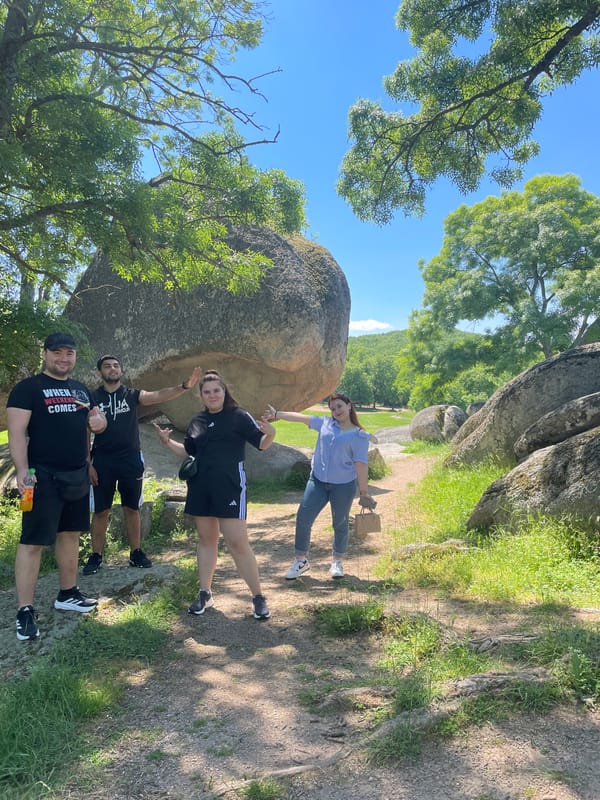 Four people photographed enjoying sunny park outing