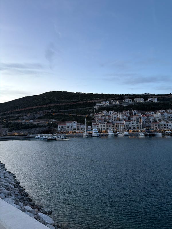 Evening lighthouse visit with dog in Radovići Montenegro