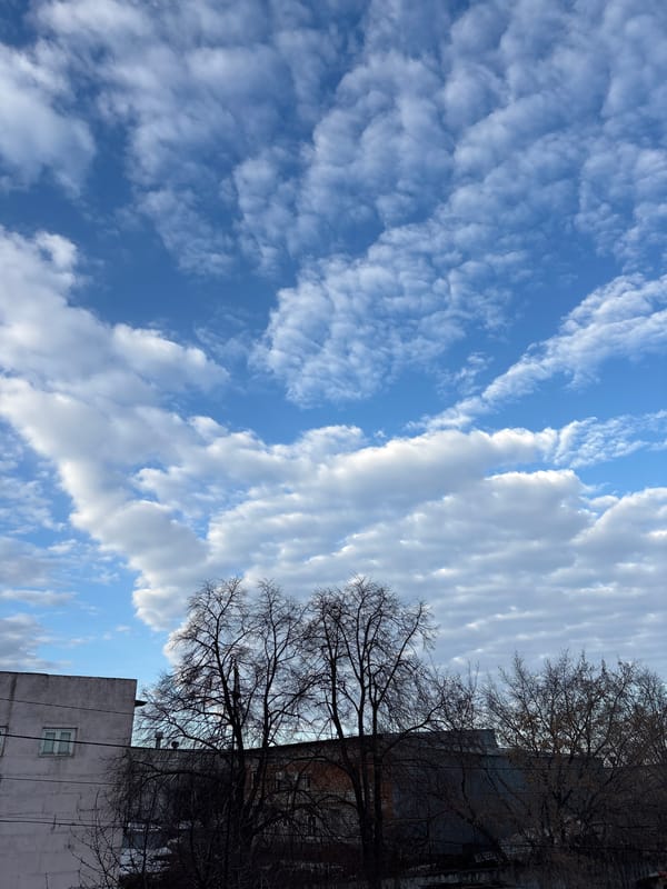 Spring transition documented across Ulyanovsk residential neighborhoods