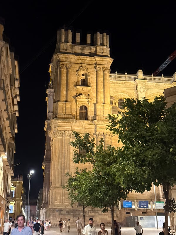 Málaga's cathedral district lit up on a summer night