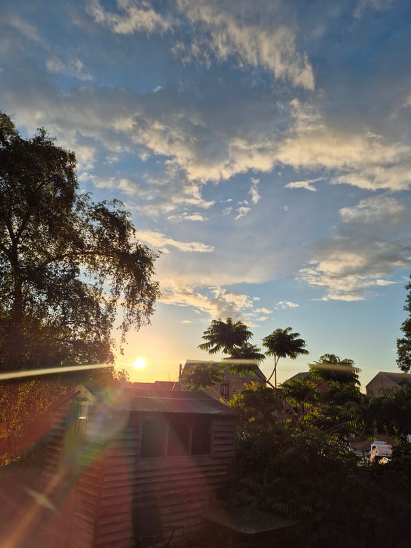 Evening domestic moments captured in West Suffolk garden and kitchen