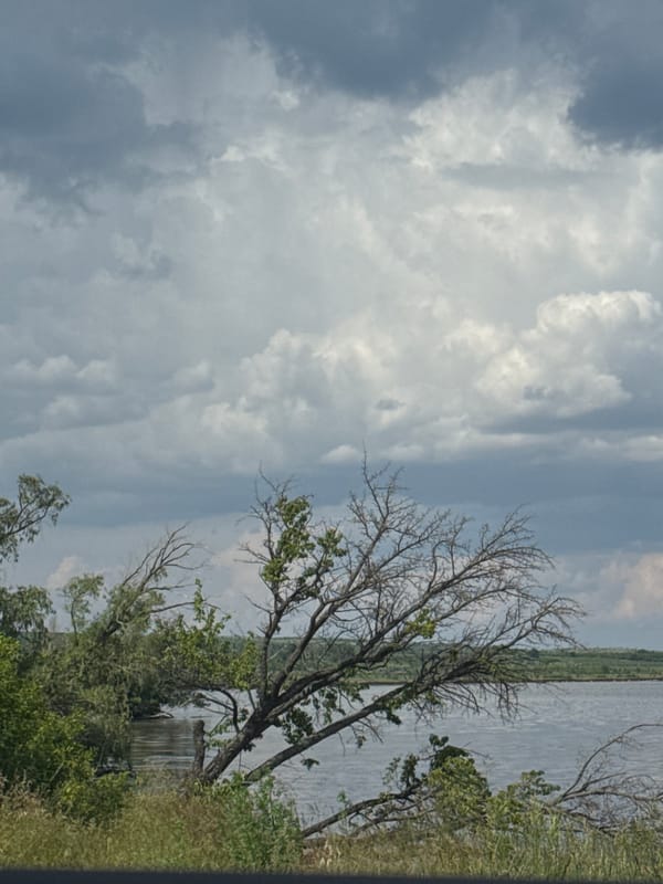 Car parked by water in rural Alekseyevka, Russia
