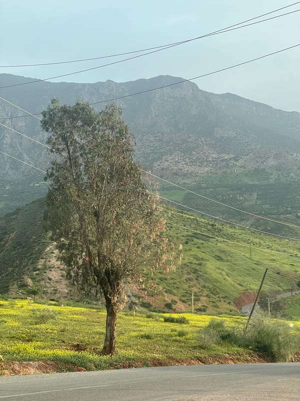 Traveler documents roadside stop in rural Morocco mountains
