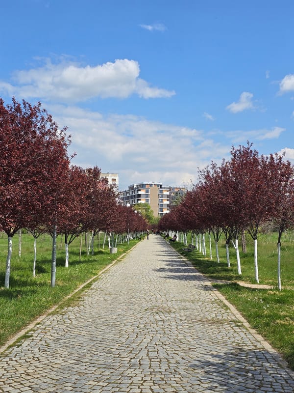 Urban park scenes with pathways, wildlife, construction documented by witnesses