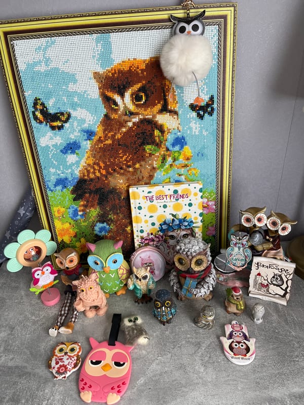 Owl collection display documented in Shushary, Russia