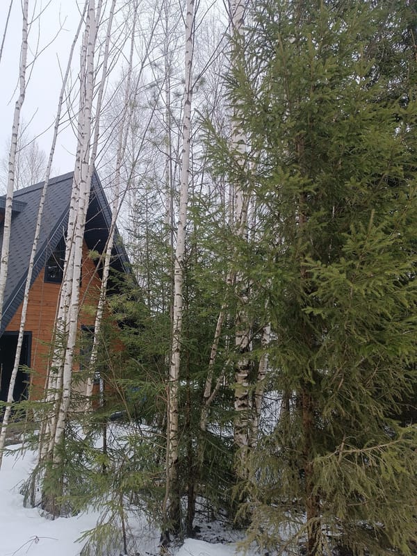 Winter dwelling documentation captured in Sepych, Russia village