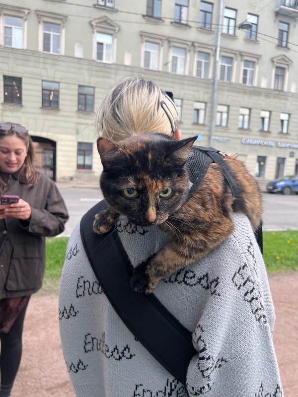 Woman carries harnessed cat on shoulder in Saint Petersburg square
