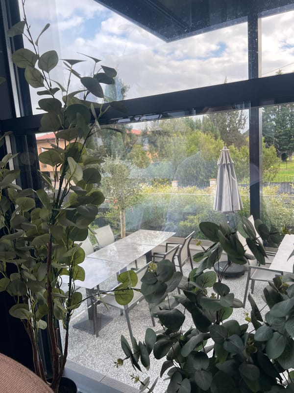 Diner documents meal and poolside patio in Burgas restaurant