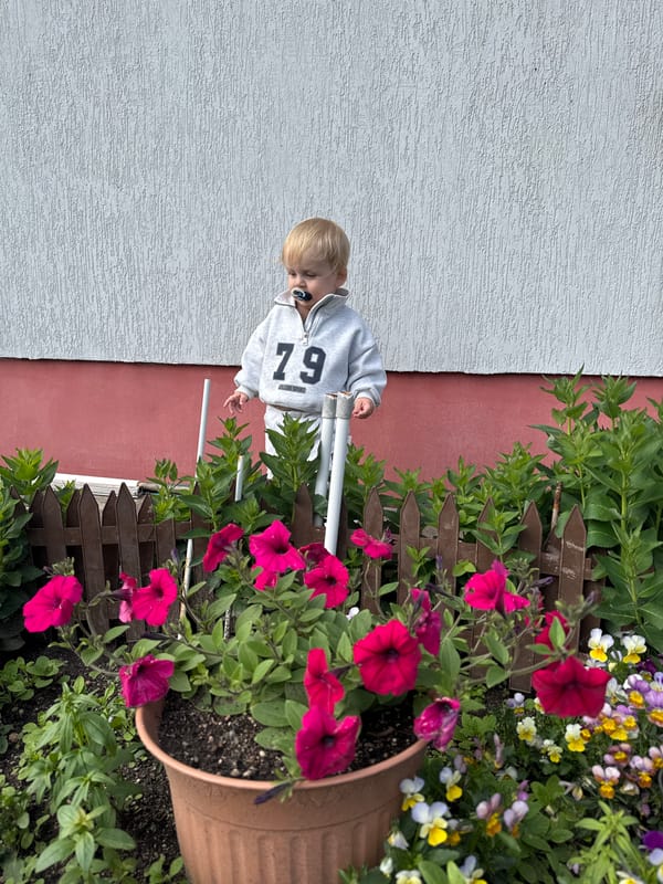 Toddler's afternoon in a Gvardeysk garden, summer 2026