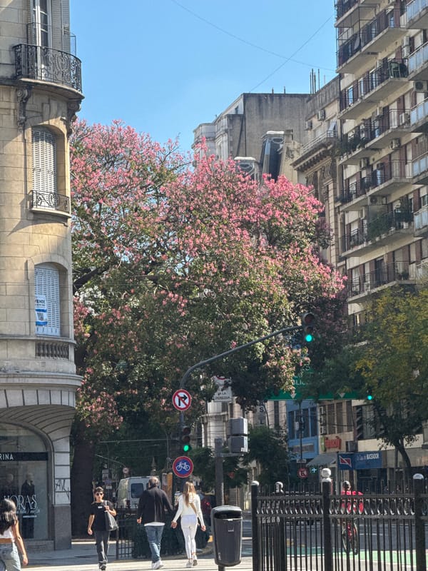 Street scene observed in Buenos Aires, Argentina