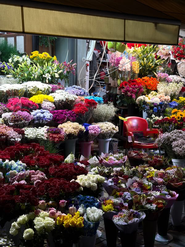 Colorful flower shop display spotted in Beyoğlu, Turkey