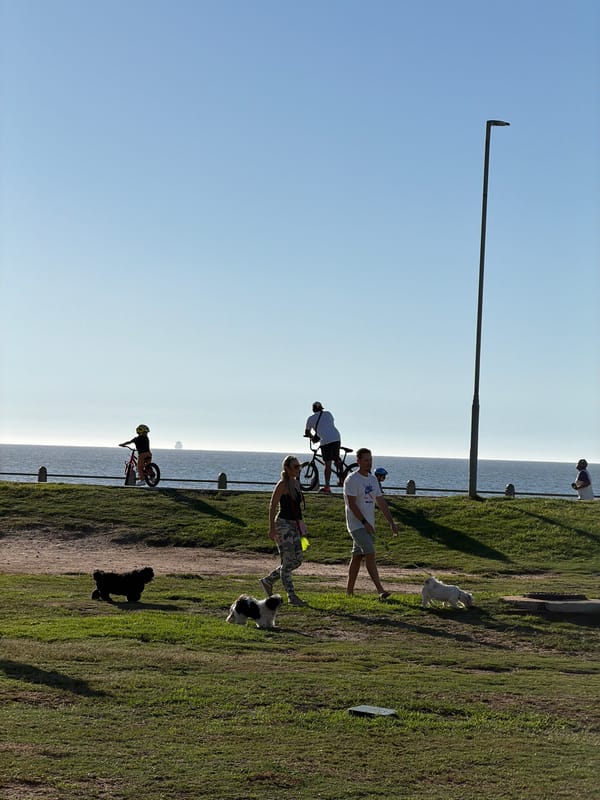 Sunny afternoon scenes captured around Cape Town parks and coastline