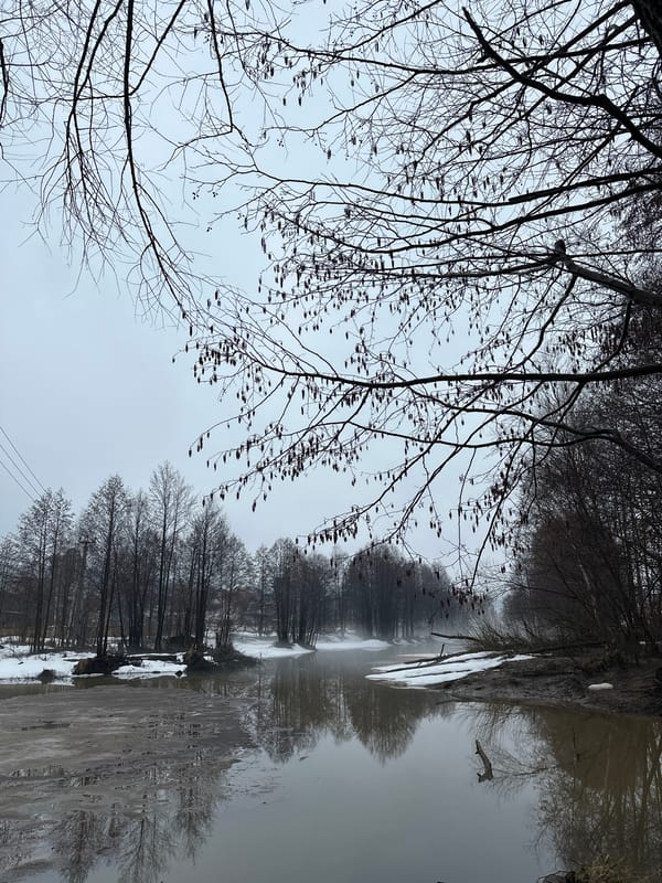 Winter landscapes documented in Chaikovsky, Russia during spring