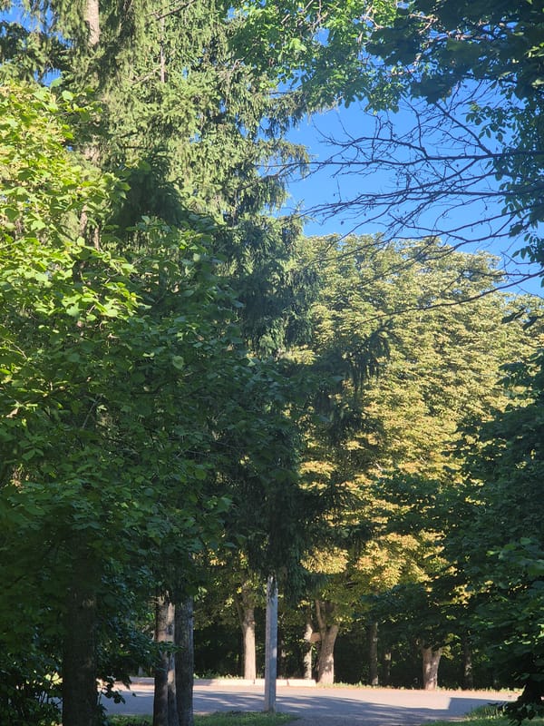 Quiet summer morning in a small Ukrainian neighborhood