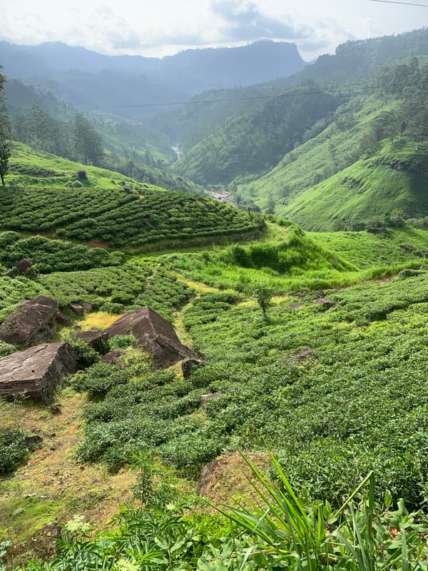 Devon Falls and tea-covered highlands in Sri Lanka's hill country