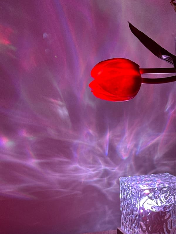 Home interior decorated with red tulips and seasonal displays