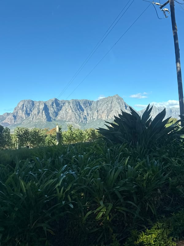 Tourist documents scenic Stellenbosch landscapes and bronze sculpture