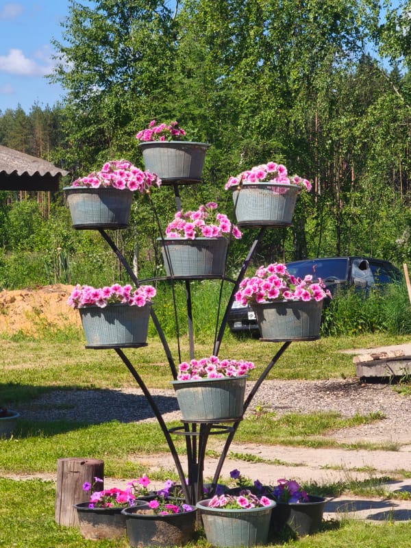 Flower displays bloom across outdoor spaces in Kady, Russia