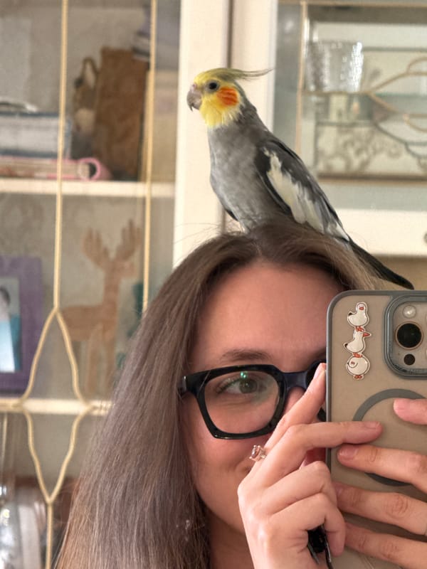 Cockatiel, pug, and cat — a pet-filled afternoon in Chaikovsky