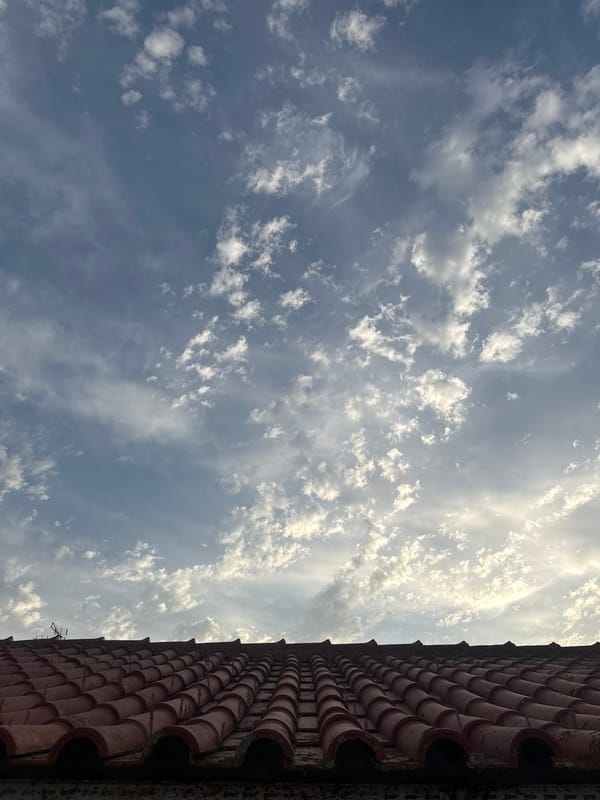 Quiet afternoon documented in Portuguese suburb: cats, rooftops, daily life