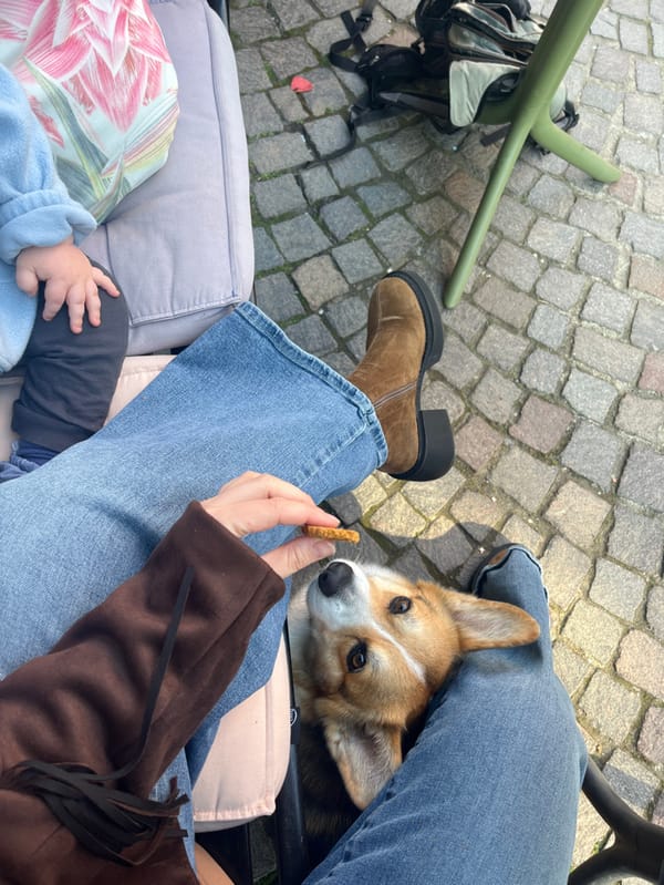 Family enjoys outdoor coffee on cobblestones in Meisenheim