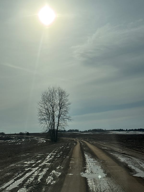 Rural landscape documented in Vassyata, Russia shows overcast spring day