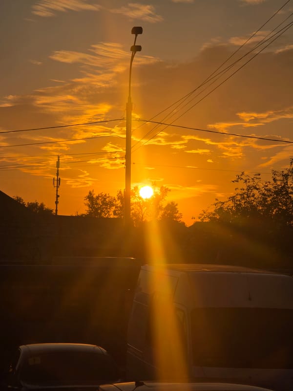 Urban scenes documented across city area during afternoon hours