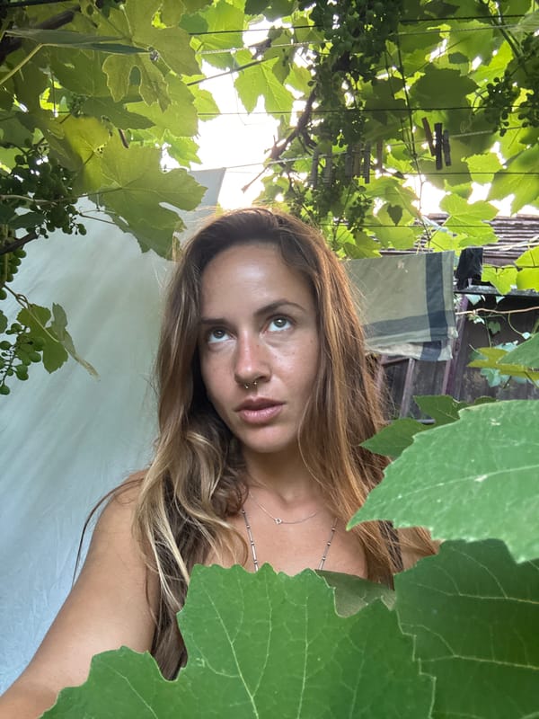Afternoon in the garden: portraits, coneflowers, and a red car