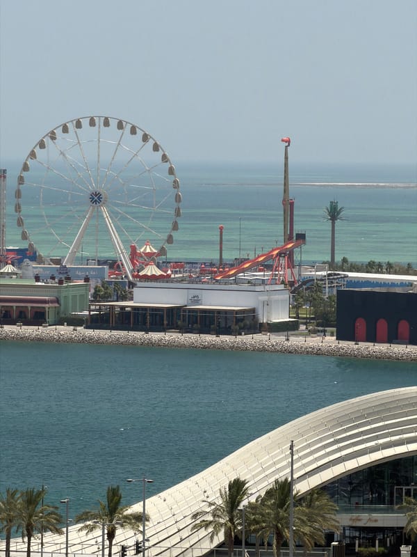Coastal city with amusement park observed from multiple viewpoints