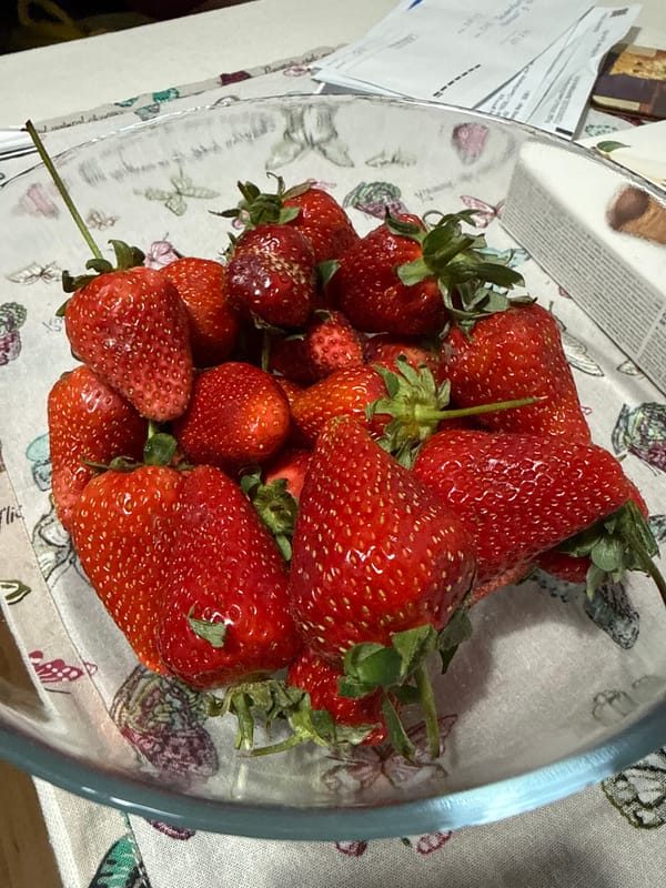 Evening scenes of strawberries and urban life in Saint Petersburg