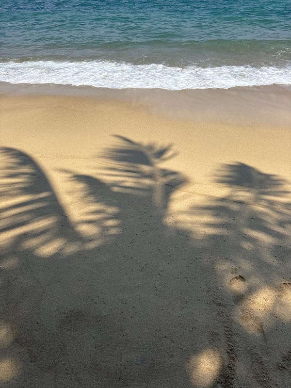 Early morning beach documentation in Thalaramba, Sri Lanka