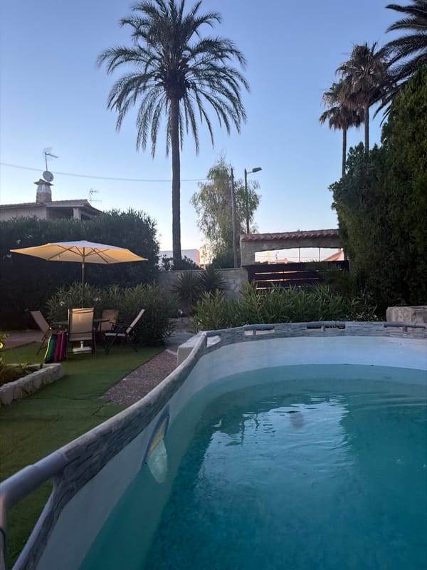 Evening at home: food, flowers, and a twilight patio