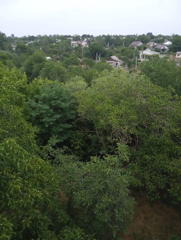 Snapshots from Dubăsari: town views, river at dusk, and a few odd additions