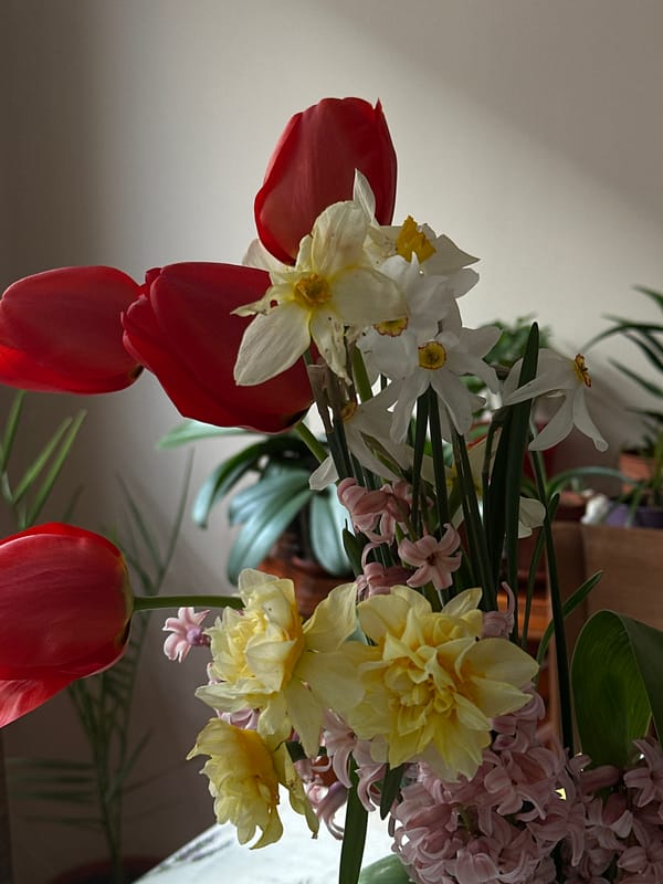 Spring flowers and family moments captured in Stara Zagora